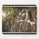 Riefenbachsfall, Harzburg, Hartz, Germany rare Pho Mouse Pads