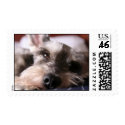 Riesling in color postage by tlkativ Riesling in color postage