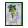 Riesling White Wine Grapes Postcard