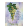 Riesling Wine Grapes Postcard