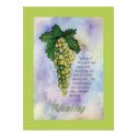 Riesling Wine Grapes Poster posters by donnabellas Riesling Wine Grapes Poster posters