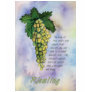 Riesling Wine Grapes Shirt