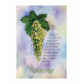 Riesling Wine Grapes Tank Top