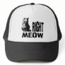 Right MEOW! Funny Evil Kitty Mesh Hats