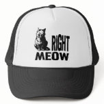 Right MEOW! Funny Evil Kitty hats