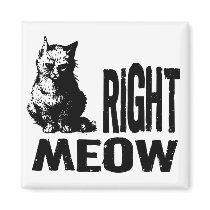 Right MEOW! Funny Evil Kitty Refrigerator Magnet