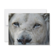 Right Up Close invitations by laureenr Right Up Close invitations