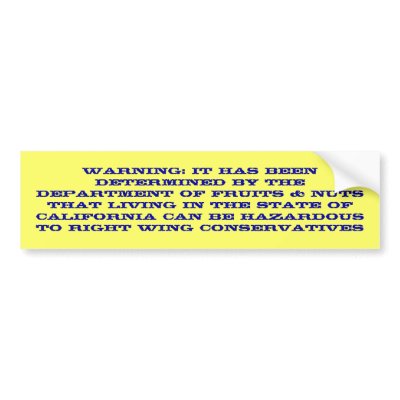 RIGHT WINGER BUMPERSTICKER BUMPER STICKER by EDWARDGSETTERBO