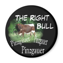RightBullBlk-customize magnets by MakaraPhotos RightBullBlk-customize magnets