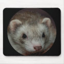 Rikki is watching! mousepads