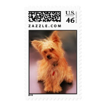 Riley postage by LeighMarin Riley postage
