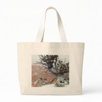 Rim Bryce Canyon bags