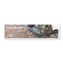 Rim Bryce Canyon bumper stickers by lifesphere Rim Bryce Canyon bumper stickers