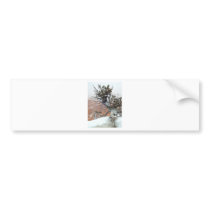 Rim Bryce Canyon bumper stickers by lifesphere Rim Bryce Canyon bumper stickers
