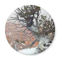 Rim Bryce Canyon magnets