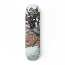 Rim Bryce Canyon skateboards by lifesphere Rim Bryce Canyon skateboards