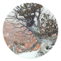 Rim Bryce Canyon stickers by lifesphere Rim Bryce Canyon stickers