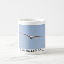 RING-BILLED GULL mugs