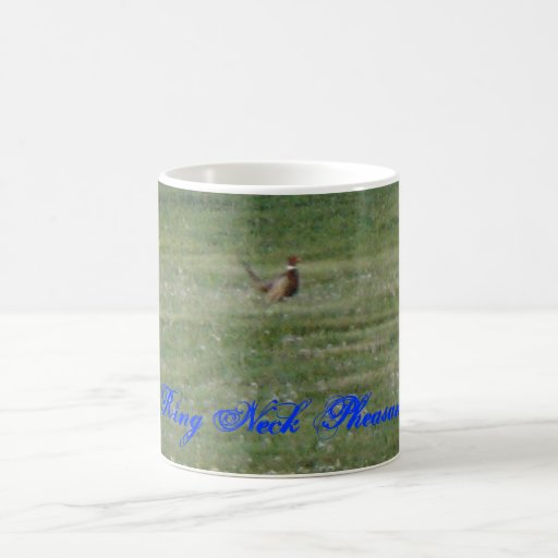 Ring Neck Pheasant Coffee Mugs