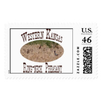 Ring-neck Pheasant postage