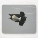 Ring-necked Duck mousepads
