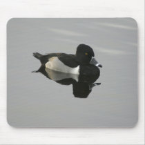 Ring-necked Duck mousepads by wildlifezoo Ring-necked Duck mousepads