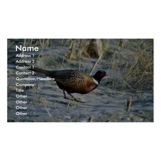 Ring-necked pheasant business card template (front side)