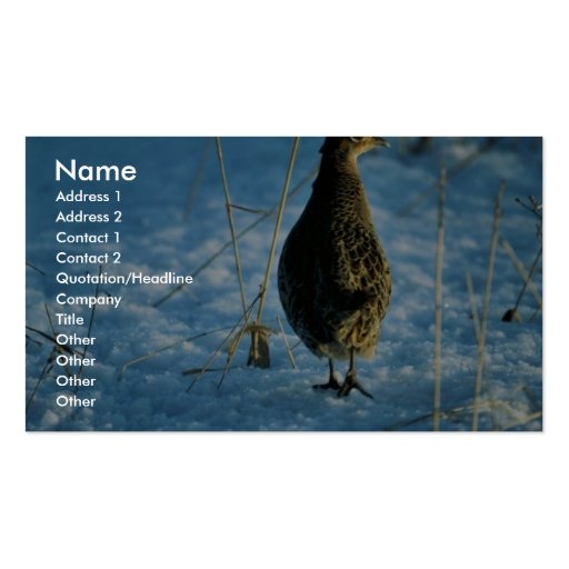 Ring-necked pheasant business card templates