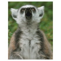 Ring-Tailed Lemur Flyer Design