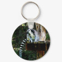 Ring-Tailed Lemur keychain