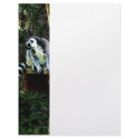 Ring-Tailed Lemur letterhead