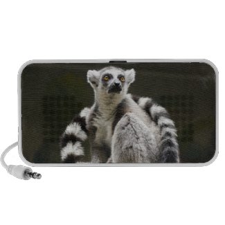 Ring-tailed Lemur Portable Speakers