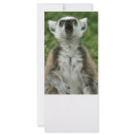 Ring-Tailed Lemur Rack Card