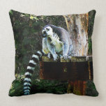 Ring-Tailed Lemur Throw Pillow