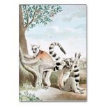 Ring-Tailed Lemurs Illustration Table Card