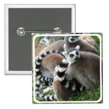 Ring Tailed Lemurs Square Pin