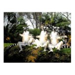 ring, tailed, lemurs, primates, mammals, animals,