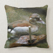 Ringed Teal Duck throwpillow