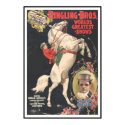 Ringling Bros 1899 CIRCUS POSTER posters