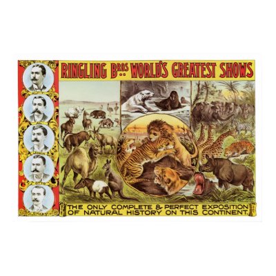 Ringling Bros. Wild Animal Advertisement 1900's Posters by gwester