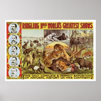 Ringling Bros. Wild Animal Advertisement 1900's print