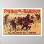 Ringling Bros. Wonder Bears Advertisement 1920's posters