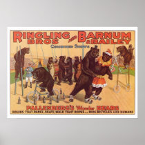 Ringling Bros. Wonder Bears Advertisement 1920's Print
