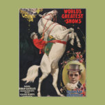 Ringling Brothers Horses Post Card