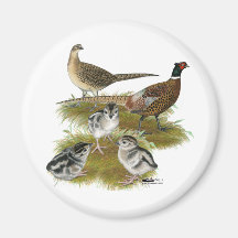 Ringneck Pheasant Family Refrigerator Magnet