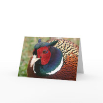 Ringneck Pheasant Notecard by Classic_Cat Ringneck Pheasant Notecard