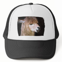 Ringo the Alpaca Hat