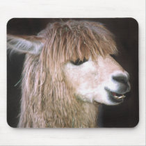 Ringo the Alpaca Mousepad