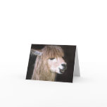 Ringo the Alpaca Note Card