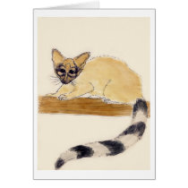 Ringtail cards by nativeamerican Ringtail cards